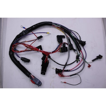 Kohler Harness Efi Wiring 66 176 19-S